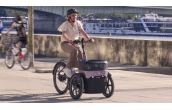 Triporteur électrique Thuja de vanRaam