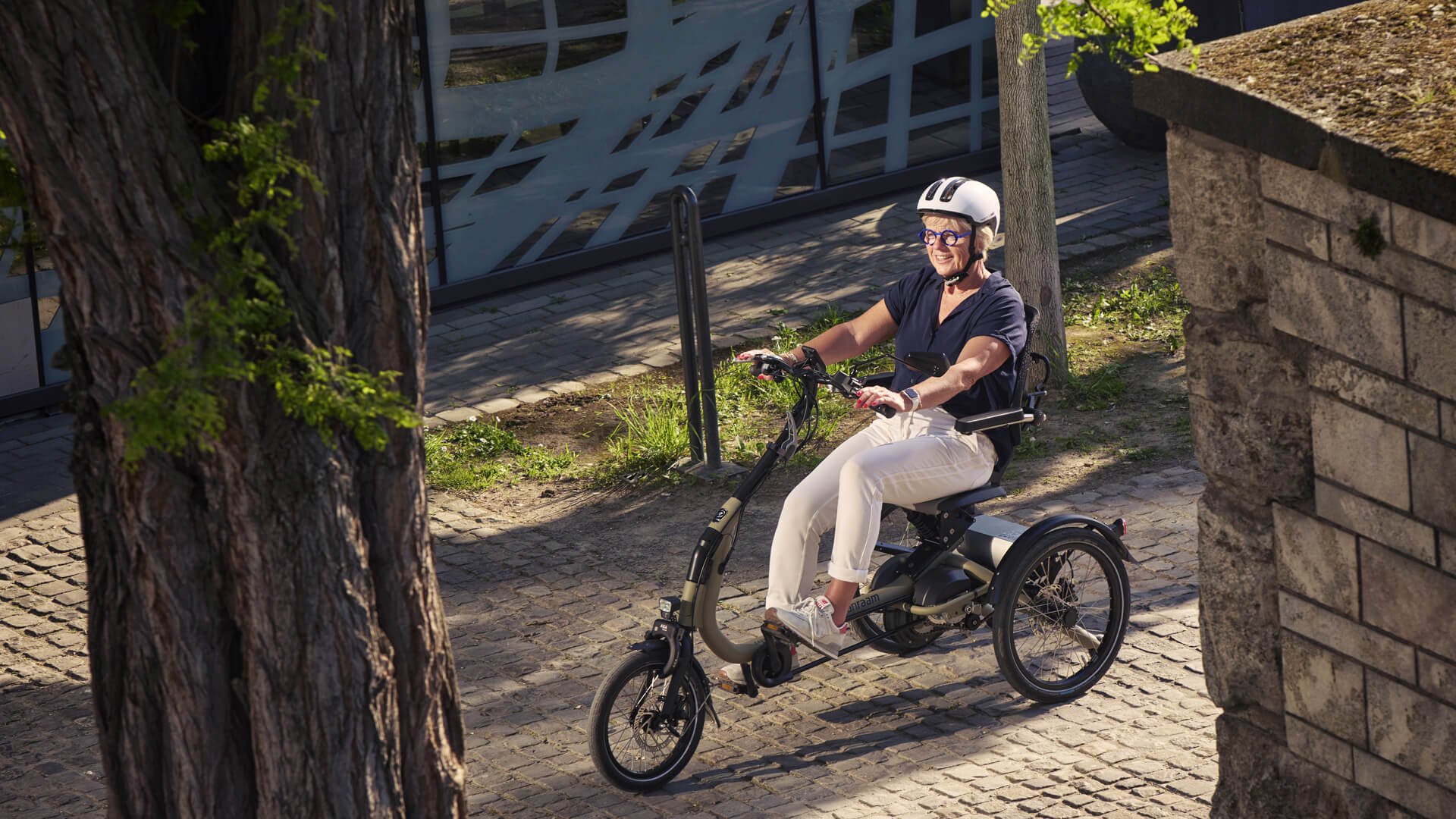 Tricycle Easy Rider Compact électrique de Van Raam