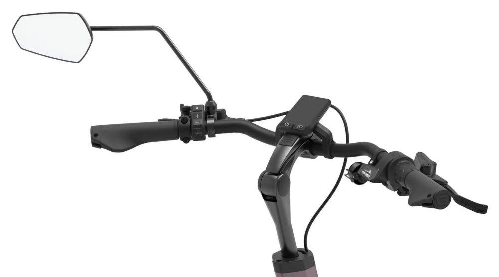 Rétroviseur pour triporteur Thuja de vanRaam