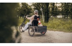 Kettwiesel One UP  de Hase Bikes