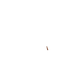 Bavette en cuir Brooks pour garde-boue de vélo,miel