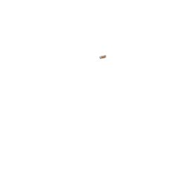 Poignées cuir Brooks miel (une longue, une courte)