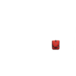 Deux sacoches avant Ortlieb Roller Plus,rouge