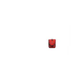 Deux sacoches avant Ortlieb Roller Plus,rouge