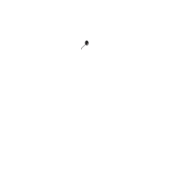 Rétroviseur hollandais vintage droit ou gauche