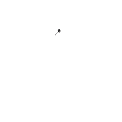 Rétroviseur hollandais vintage droit ou gauche