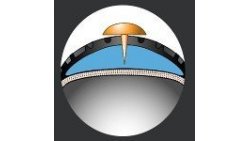 Pneumatique Schwalbe Big Ben Plus