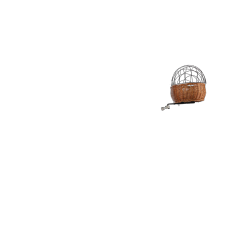 panier-chien-velo-avant-pluto