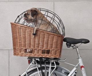 panier-chien-velo-porte-bagage