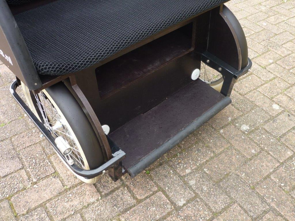 Triporteur transport adulte rickshaw vélo taxi