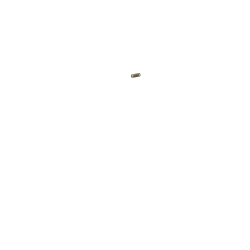 Poignées cuir Brooks noir (une longue, une courte)