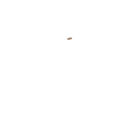 Poignées cuir Brooks miel (une longue, une courte)