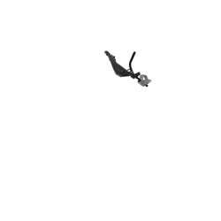 Siège bébé avant Yepp Mini noir, 9 mois à 3 ans