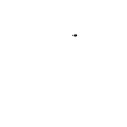 Sonnette ding dong pied de poule noir