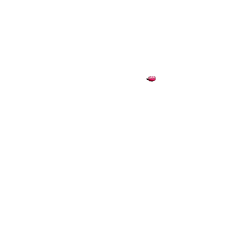 Sonnette ding dong pied de poule rose