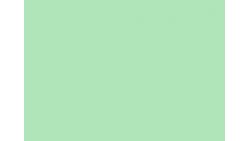 Bombe de retouche de peinture vert jade RAL 5019