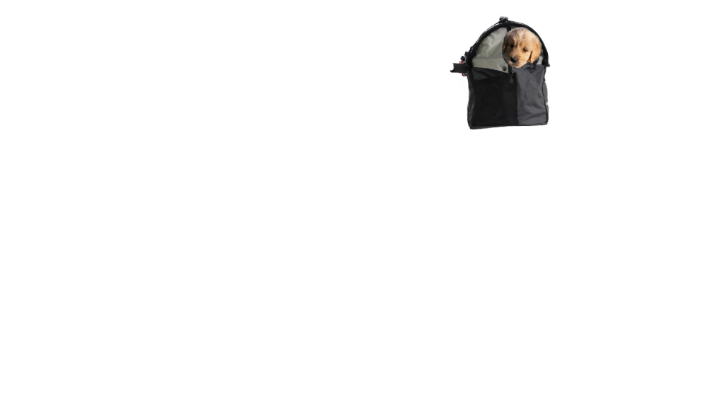 Panier pour transporter son chien à velo (avec fixation)