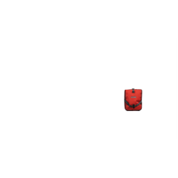 Deux sacoches avant Ortlieb Roller Plus,rouge