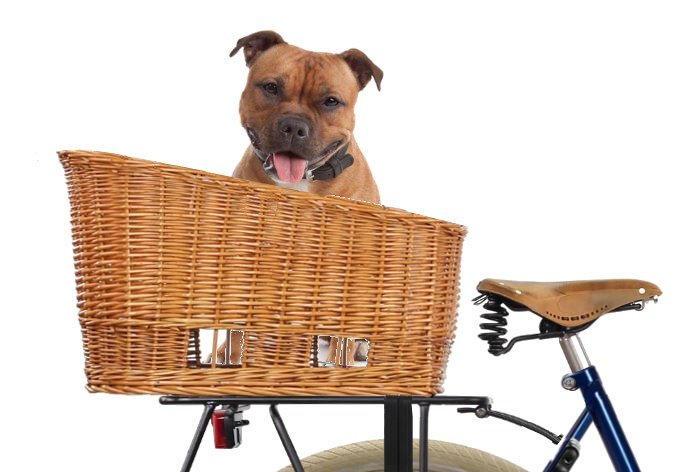 Panier de vélo arrière pour chien, sans grille (50 cm)