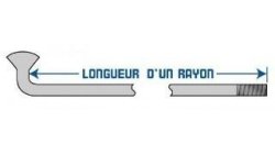 Rayon + tête de rayon pour cycle