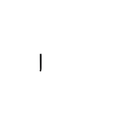 Sandows hollandais en caoutchouc noir avec plaques de fixation incluses