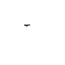 Selle Royal Viaggio avec pont extra robuste.