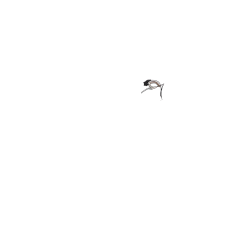 Cintre en U pour position assise droite (hollandaise).