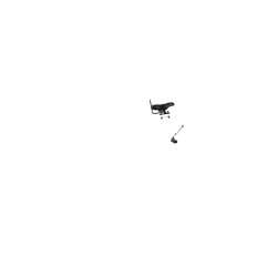 Selle enfant avant (vélo sans porte-bagage avant)