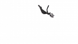 Siège bébé avant Yepp Mini noir, 9 mois à 3 ans