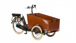 Triporteur électrique Bakfiets Confort STEPS 22 couleurs de cadre disponibles