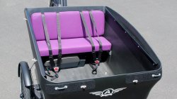 Triporteur Triobike E-Boxter moteur pédalier