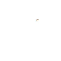 Poignées cuir Brooks marron (une longue, une courte)