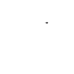 Sonnette ding dong pied de poule noir