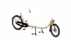 Biporteur livreur Bakfiets avec Flightcase et assistance pédalier Shimano