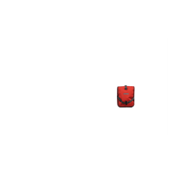 Deux sacoches avant Ortlieb Roller Plus,rouge