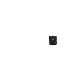 Deux sacoches avant Ortlieb Roller Plus,anthracite