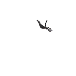 Siège bébé avant Yepp Mini noir, 9 mois à 3 ans