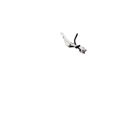 Siège bébé avant Yepp Mini blanc, 9 mois à 3 ans