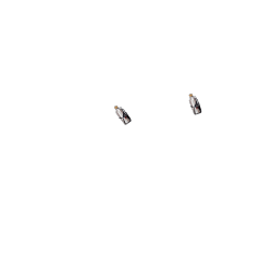 Porte-bidons sur tandem ( x2) avec fixation potence