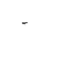 Selle Freedom mousse et gel