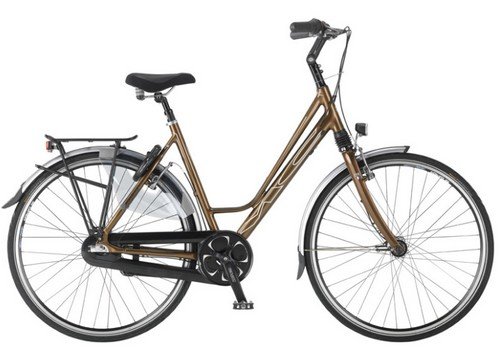 Vélo hollandais MC Expressive boite Nexus 8