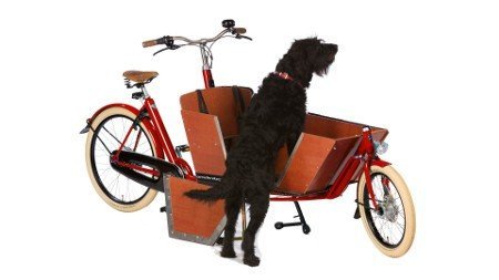 Faire du vélo avec son chien